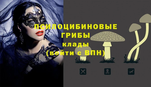 сатива Абинск