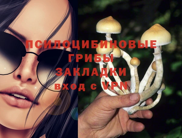 амф Абаза