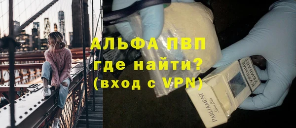 сатива Абинск